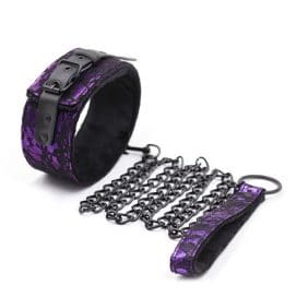 purple select collar and lead