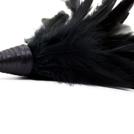 black frisky feather teaser