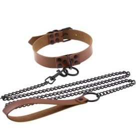 punnk collar and lead brown