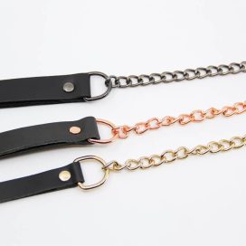 luxury leather and chain lead