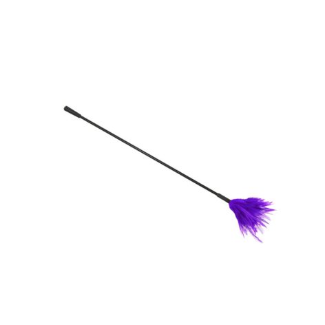 purple feather tickler crop